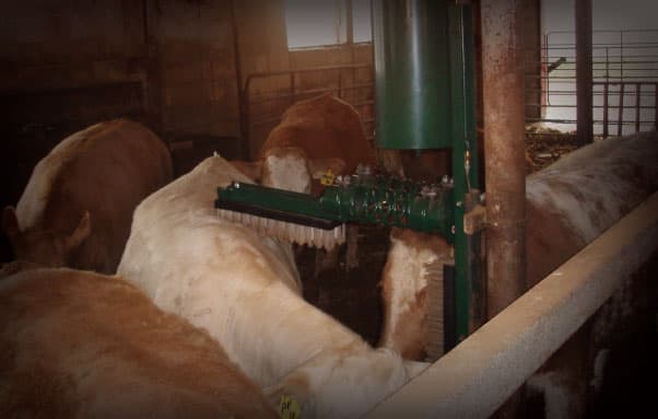 Cattle & Goat Oilers